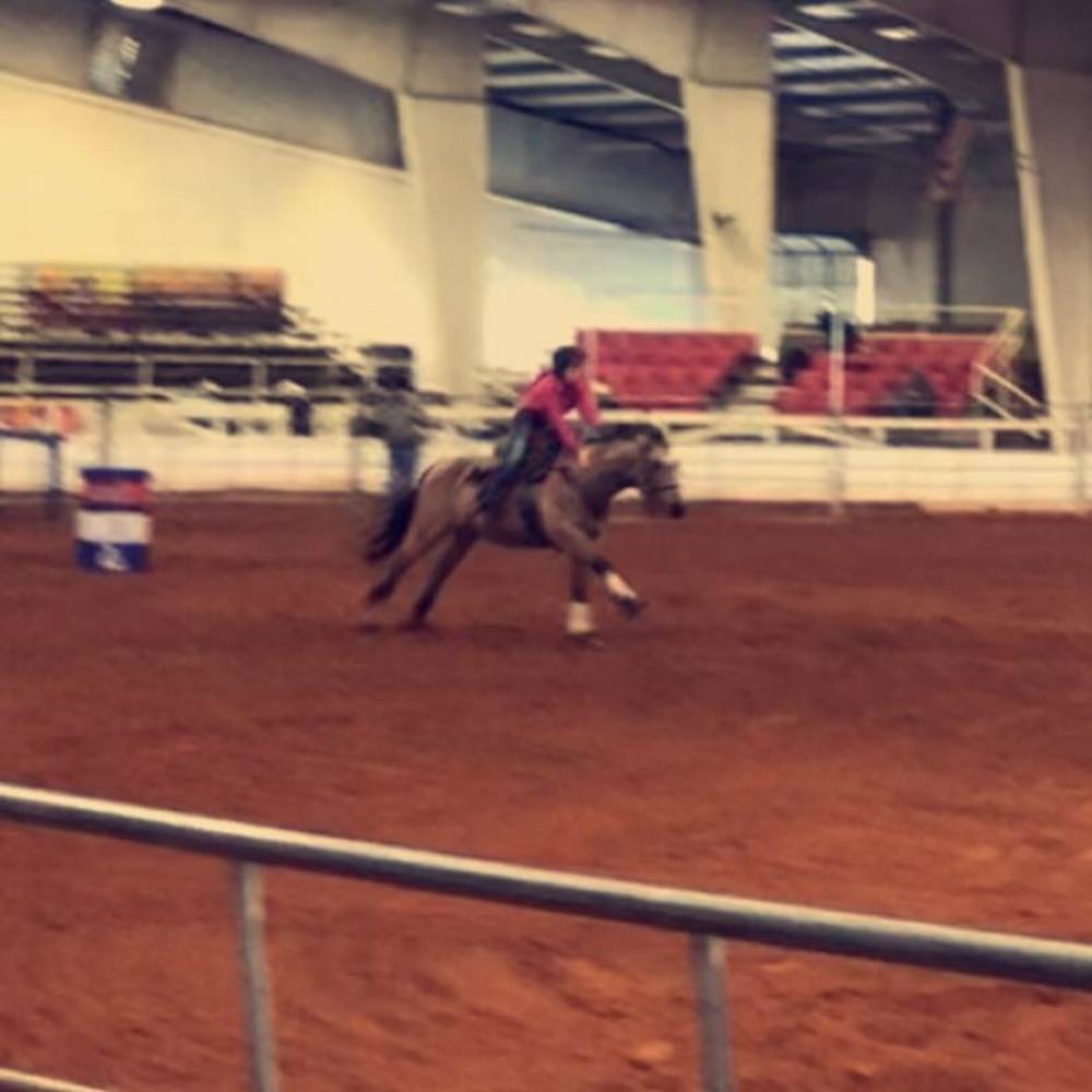 Meet your Posher, Presley